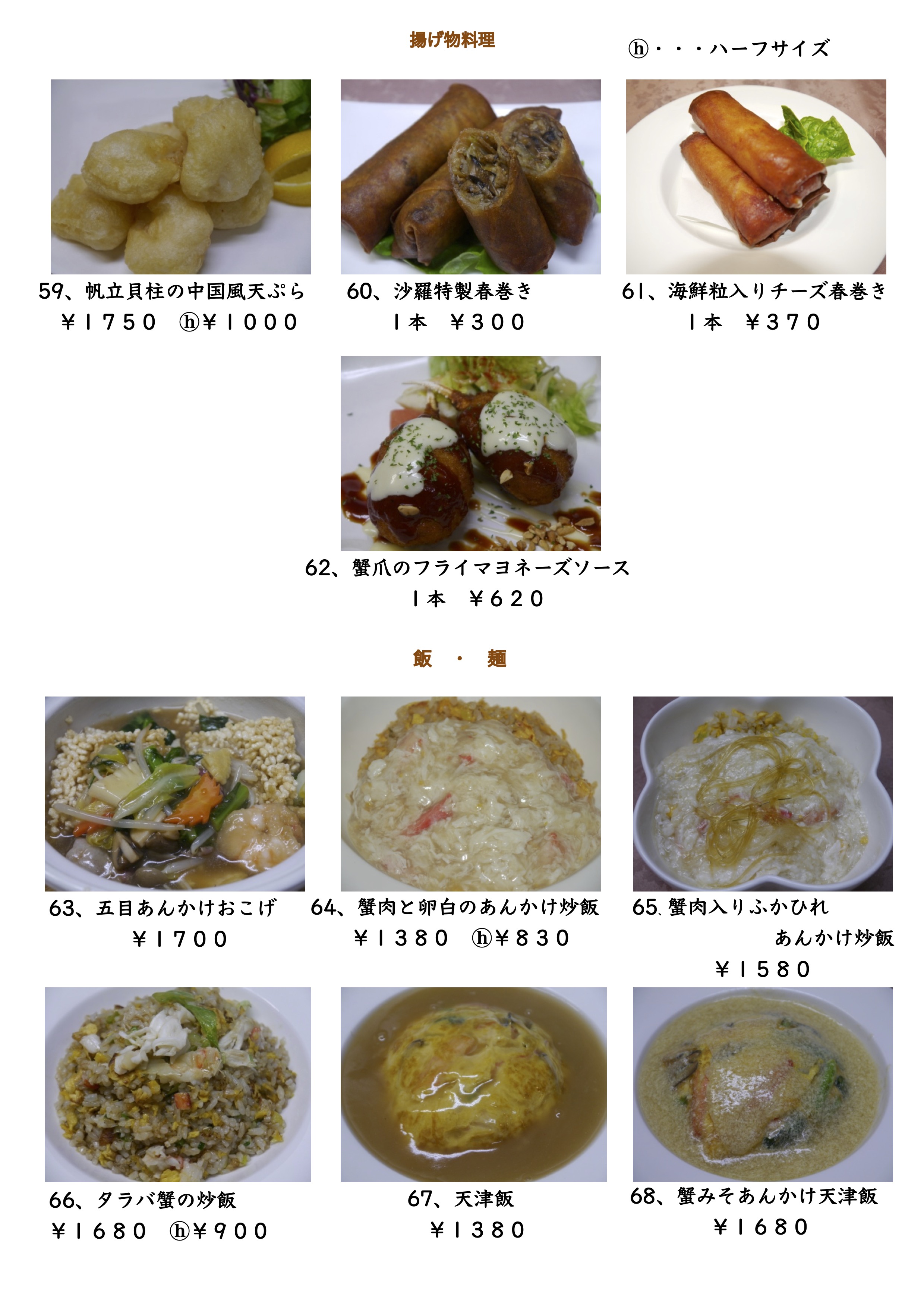 揚げ麺飯